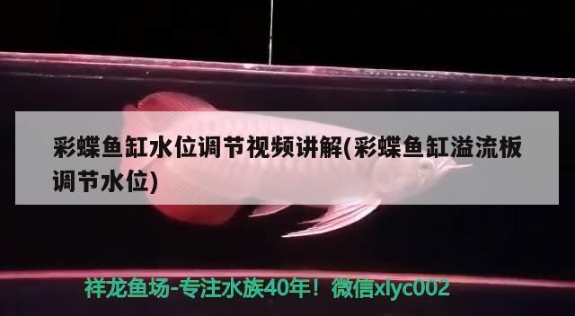 彩蝶魚缸水位調節視頻講解(彩蝶魚缸溢流板調節水位)（彩蝶魚缸水位調節視頻講解）