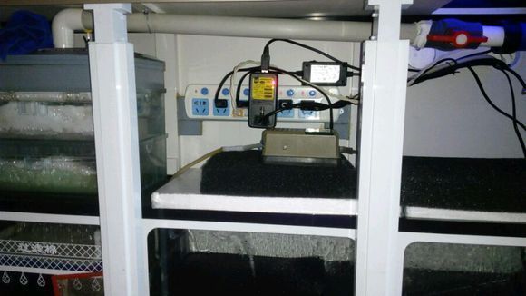 甘孜州騰龍魚養殖基地電話，四川甘孜州騰龍魚養殖基地0836-8215978