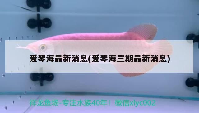 愛琴海最新消息(愛琴海三期最新消息)（太原王家峰愛琴海啥時候完工）