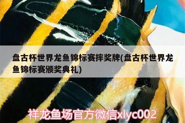 盤古杯世界龍魚錦標(biāo)賽摔獎牌(盤古杯世界龍魚錦標(biāo)賽頒獎典禮)（張偉麗盤古杯世界龍魚錦標(biāo)賽摔獎牌和盤古杯世界龍魚錦標(biāo)賽摔獎牌）