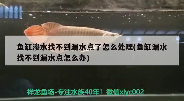魚缸滲水找不到漏水點了怎么處理(魚缸漏水找不到漏水點怎么辦)（魚缸滲水找不到漏水點怎么辦） 魚缸滲水找不到漏水點了怎么處理(魚缸漏水找不到漏水點怎么辦)（魚缸滲水找不到漏水點怎么辦） 觀賞魚百科