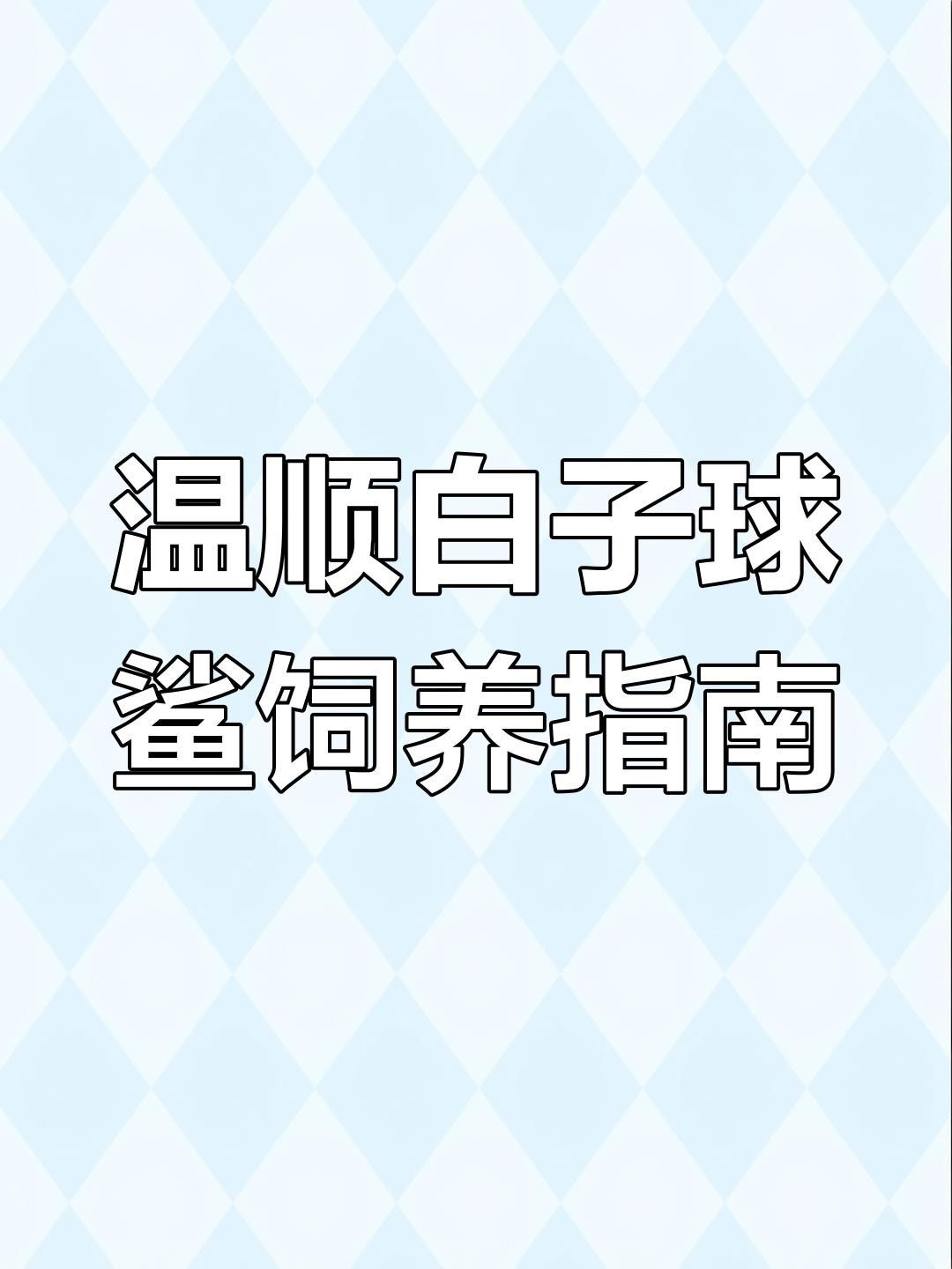 白子球鯊魚開口難（白子球鯊魚不開口的原因及解決方法）