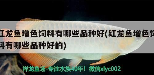 紅龍魚增色飼料有哪些品種好(紅龍魚增色飼料有哪些品種好的)（紅龍魚增色飼料品種好和紅龍魚增色飼料有哪些品種好）