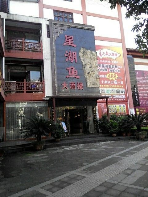 永川龍魚（重慶市永川區龍魚的價格是多少？）