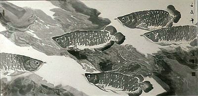 古縣龍魚（“古縣龍魚”的寓意）
