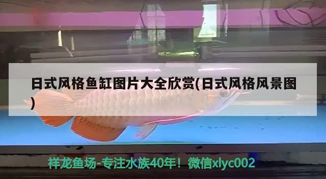 日式風(fēng)格魚缸圖片大全欣賞(日式風(fēng)格風(fēng)景圖)（日式風(fēng)格魚缸圖片大全欣賞）