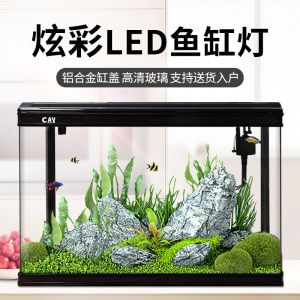 龍魚手術麻藥多久能恢復（龍魚手術麻藥多久能恢復正常）（龍魚手術后麻藥的恢復時間）
