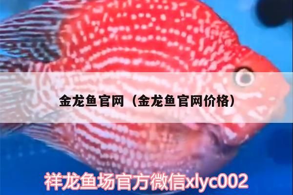 金龍魚官網（金龍魚官網價格）（金龍魚官網價格、金龍魚官網價格、金龍魚官網的信息別忘了查找）
