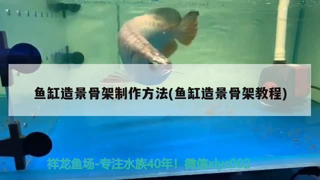 魚缸造景骨架制作方法(魚缸造景骨架教程)（魚缸造景骨架制作方法）