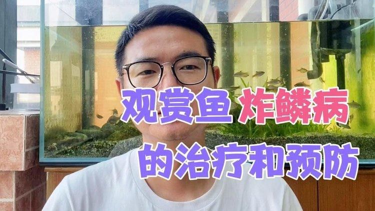 金龍魚炸鱗是什么原因（龍魚炸鱗的原因及應對方法）