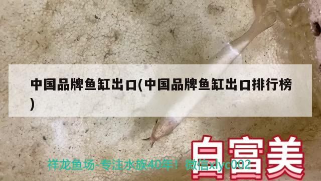 魚缸過濾器選購指南:自制魚缸過濾器魚缸上置過濾器對于養魚愛好者的必備知識 中國品牌魚缸出口(中國品牌魚缸出口排行榜)(2020年度生態魚缸行業十大品牌榜單:中國品牌魚缸出口排行榜) 觀賞魚百科 中國品牌魚缸出口(中國品牌魚缸出口排行榜)(2020年度生態魚缸行業十大品牌榜單:中國品牌魚缸出口排行榜) 中國品牌魚缸出口(中國品牌魚缸出口排行榜)(2020年度生態魚缸行業十大品牌榜單:中國品牌魚缸出口排行榜) 觀賞魚百科