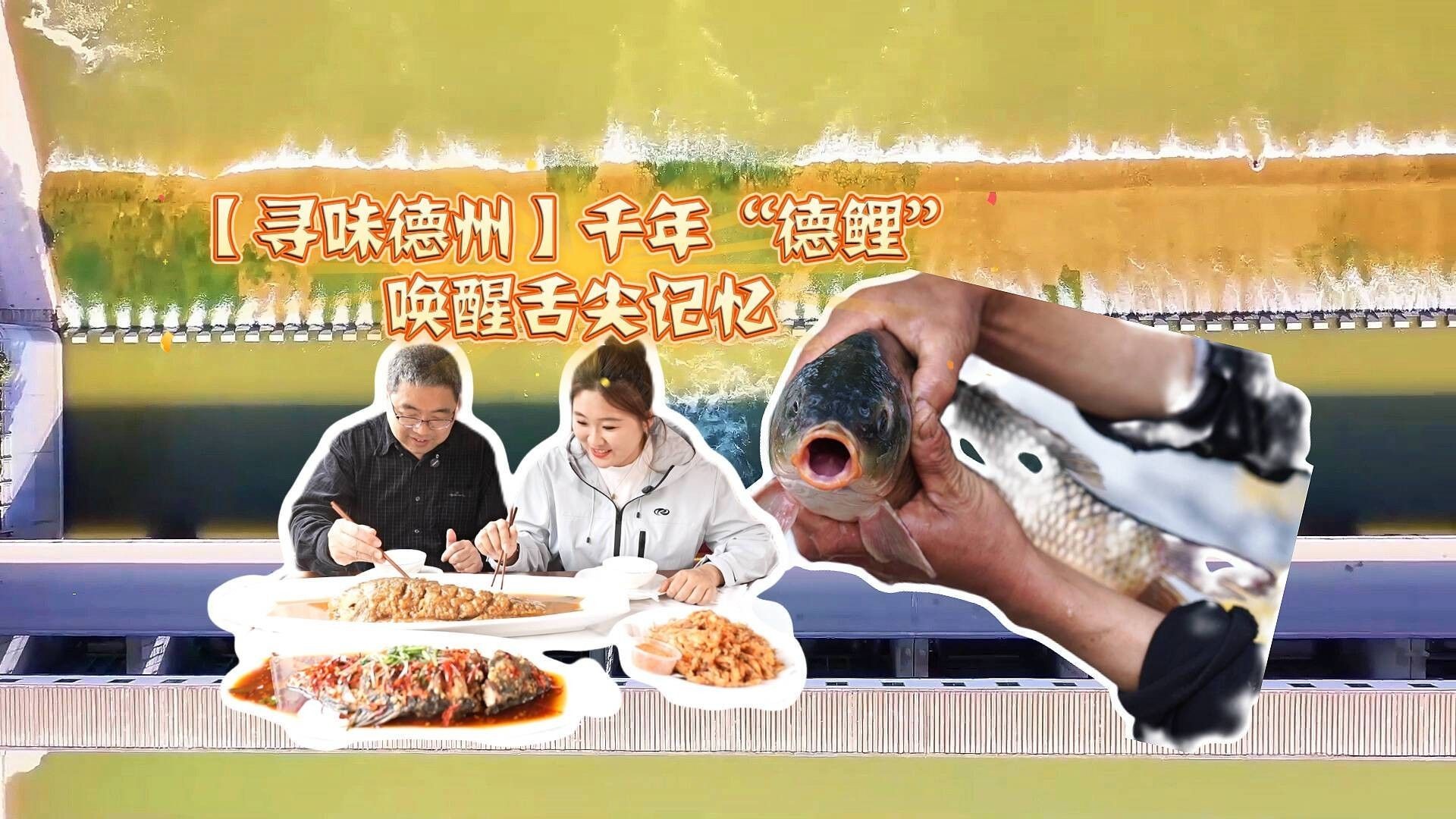 山東德州特有的魚（山東德州有哪些特色魚類？）