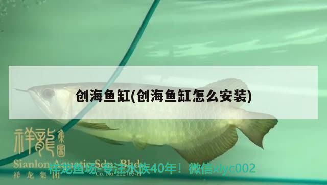 創海魚缸(創海魚缸怎么安裝)（創海魚缸安裝指南：創海魚缸安裝指南，創海魚缸安裝指南）