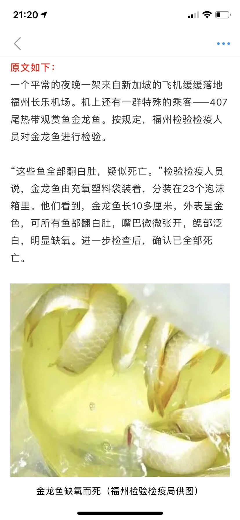 鐵嶺水族館龍魚高價的背后是虛假宣傳的廣告（鐵嶺水族館龍魚高價引發爭議）