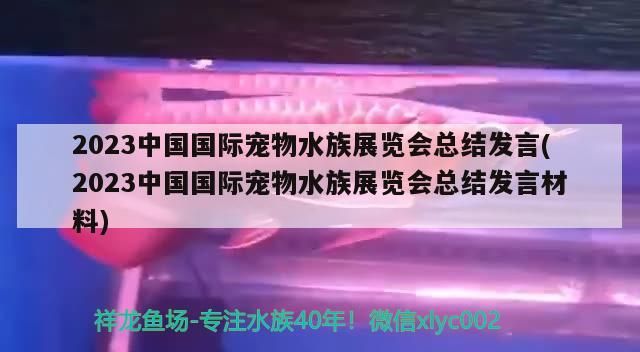 2023中國國際寵物水族展覽會總結(jié)發(fā)言(2023中國國際寵物水族展覽會總結(jié)發(fā)言材料)（2019第二十三屆中國國際寵物水族展覽會總結(jié)發(fā)言）