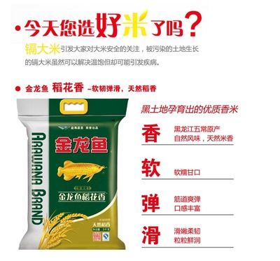 67公分的小不點（67公分的小不點，探討了“67公分的小不點”這一概念）