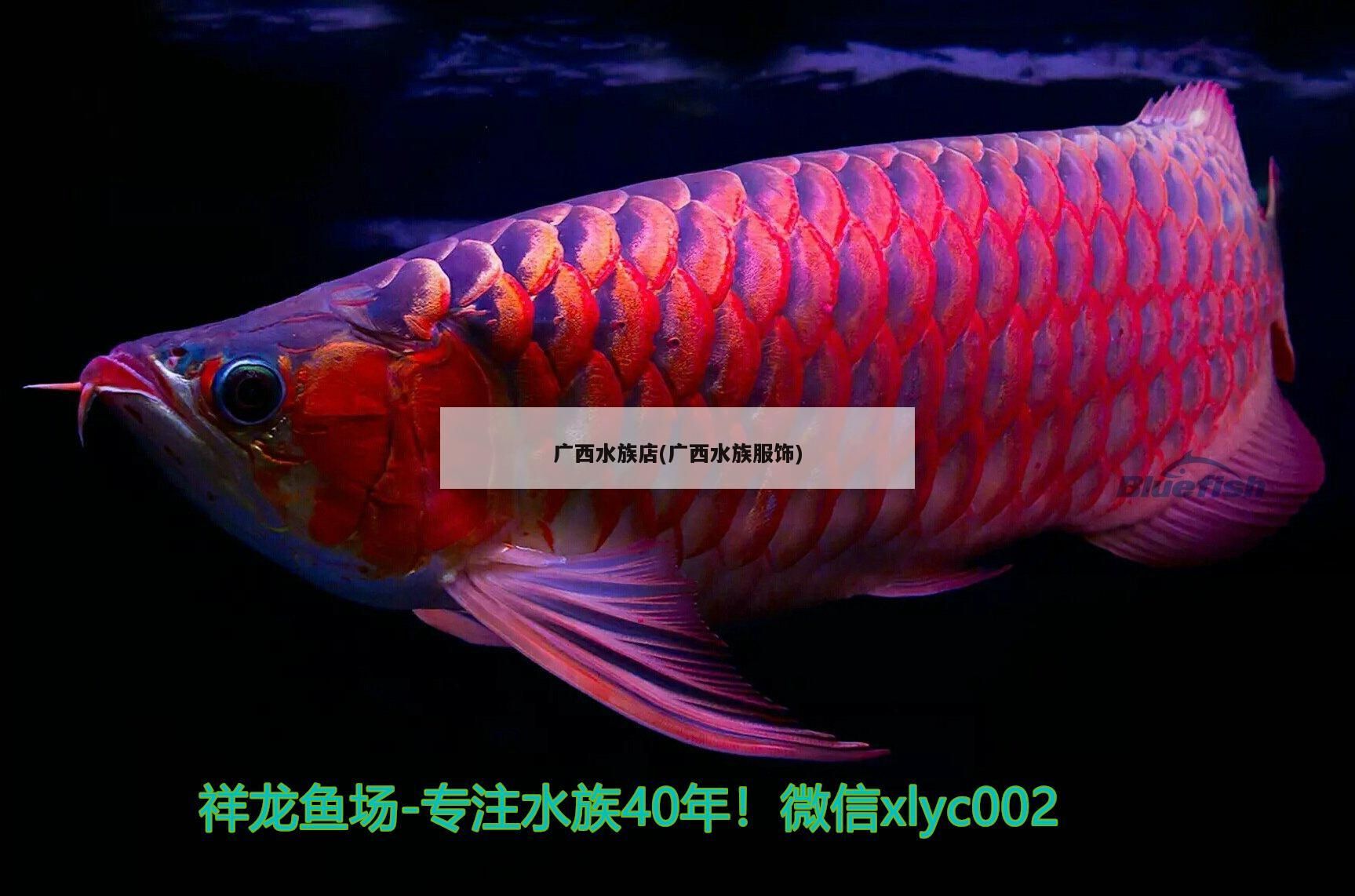 廣西水族店(廣西水族服飾)（廣西水族店，）