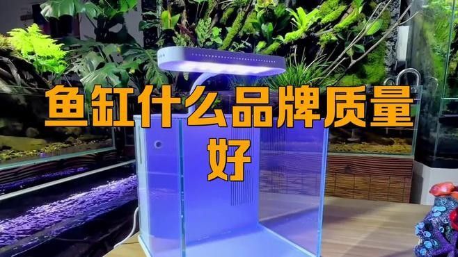 水族問答是雜牌子還是名牌（水族箱十大品牌排行榜水族箱十大品牌排行榜水族箱品牌排行榜）