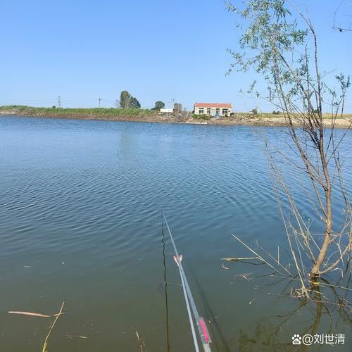 泊頭釣魚(yú)的地方（河北泊頭市適合垂釣的地方，適合垂釣的好去處，）