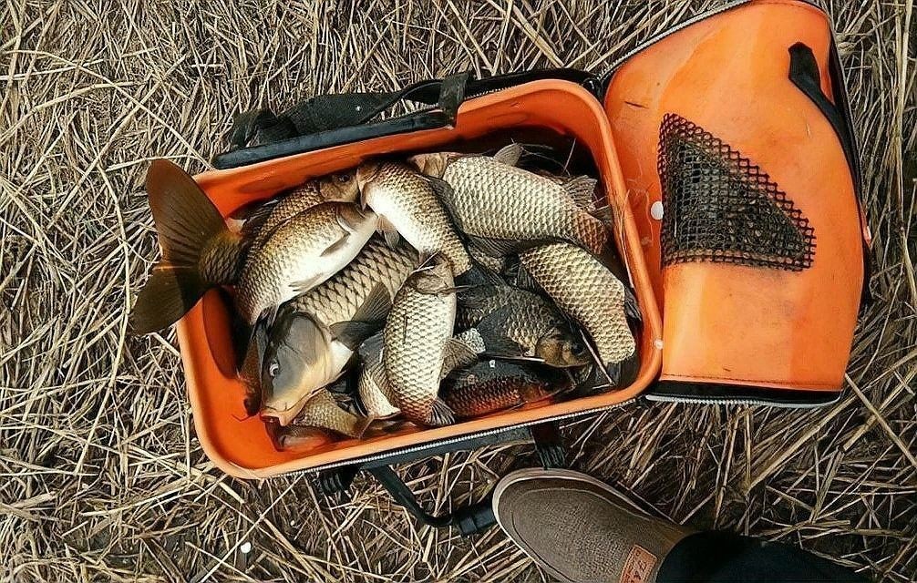 泊頭釣魚的地方（河北泊頭市適合垂釣的地方，適合垂釣的好去處，）
