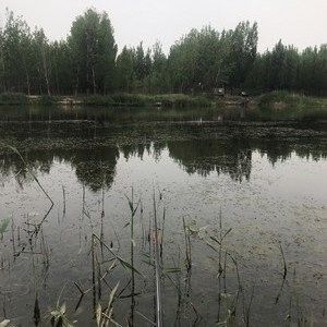 泊頭釣魚的地方（河北泊頭市適合垂釣的地方，適合垂釣的好去處，）