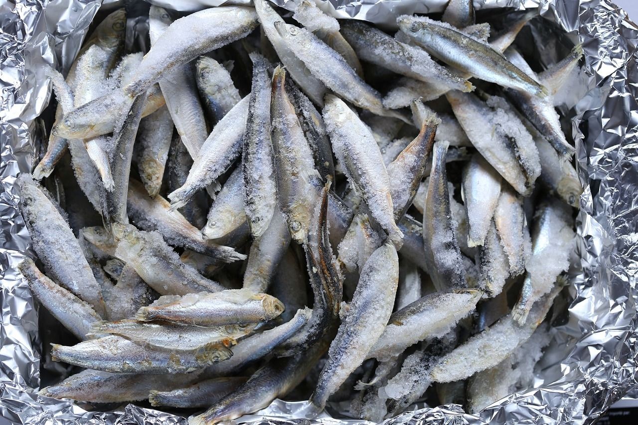 雷龍魚低溫多少度會(huì)死(雷龍魚的最佳溫度是多少)(雷龍魚低溫多少度會(huì)死) 觀賞魚百科 第1張 雷龍魚低溫多少度會(huì)死(雷龍魚的最佳溫度是多少)(雷龍魚低溫多少度會(huì)死) 雷龍魚低溫多少度會(huì)死(雷龍魚的最佳溫度是多少)(雷龍魚低溫多少度會(huì)死) 觀賞魚百科 第1張