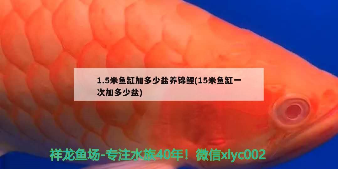 1.5米魚缸加多少鹽養(yǎng)錦鯉(15米魚缸一次加多少鹽)（1.5米米魚缸加多少鹽養(yǎng)錦鯉）