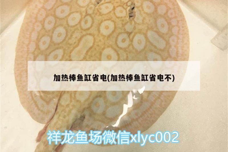 龍魚(yú)麻醉后遺癥(魚(yú)被麻醉后遺癥有哪些)（加熱棒魚(yú)缸省電和加熱棒魚(yú)缸省電）