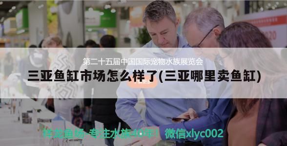 三亞魚缸市場怎么樣了(三亞哪里賣魚缸)（三亞魚缸市場怎么樣）