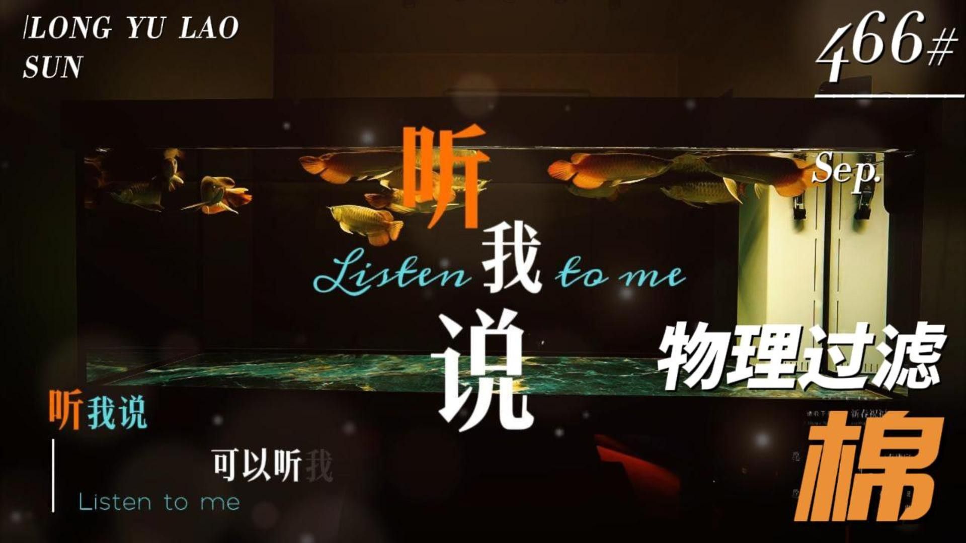 老孫介紹養龍魚全部視頻（龍魚定時趴缸怎么回事）