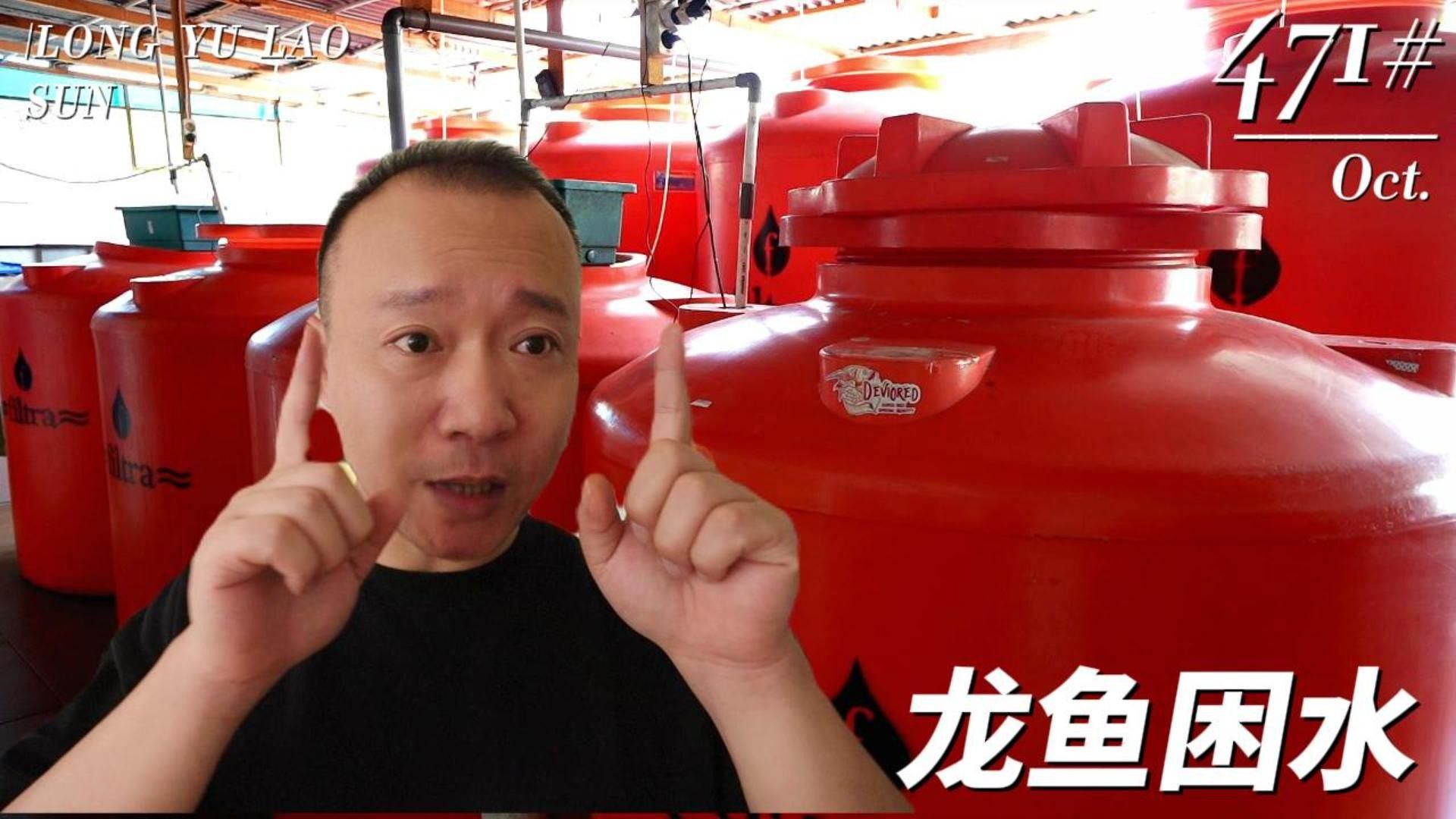 老孫介紹養龍魚全部視頻（龍魚定時趴缸怎么回事）