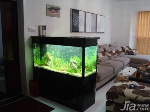 龍魚和虎魚風水區別（龍魚和虎魚風水區別在哪）（虎魚和龍魚風水區別）
