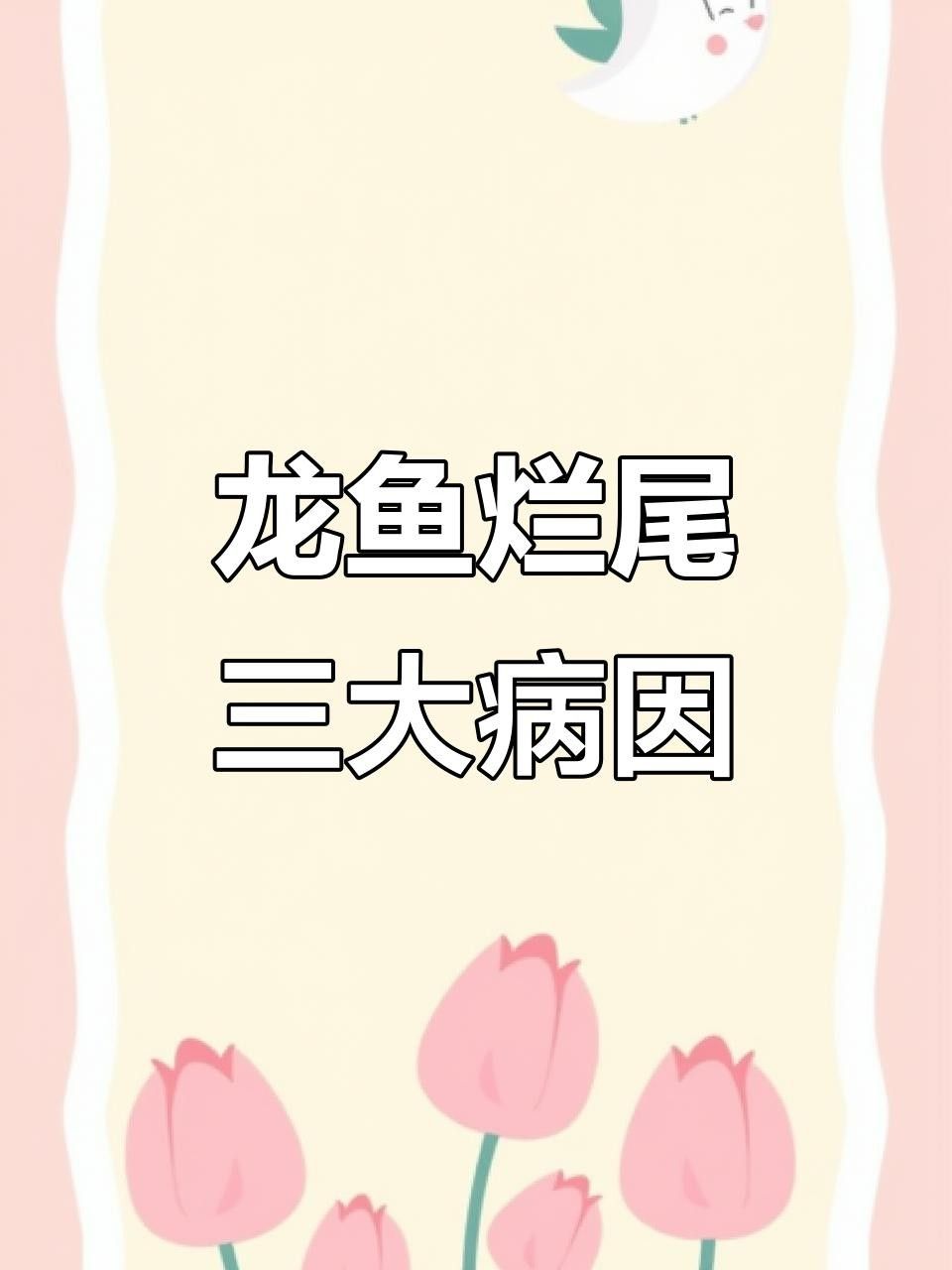 龍魚爛尾的10大表現（龍魚爛尾的10大表現及預防措施）