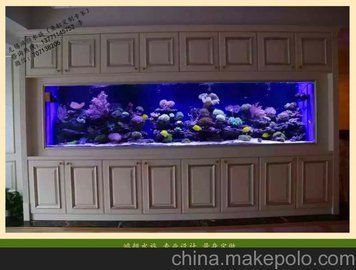 無錫龍魚專賣店（無錫龍魚專賣店在哪里）