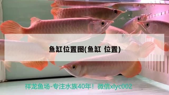 魚缸位置圖(魚缸位置)（家中魚缸擺放位置風水圖）