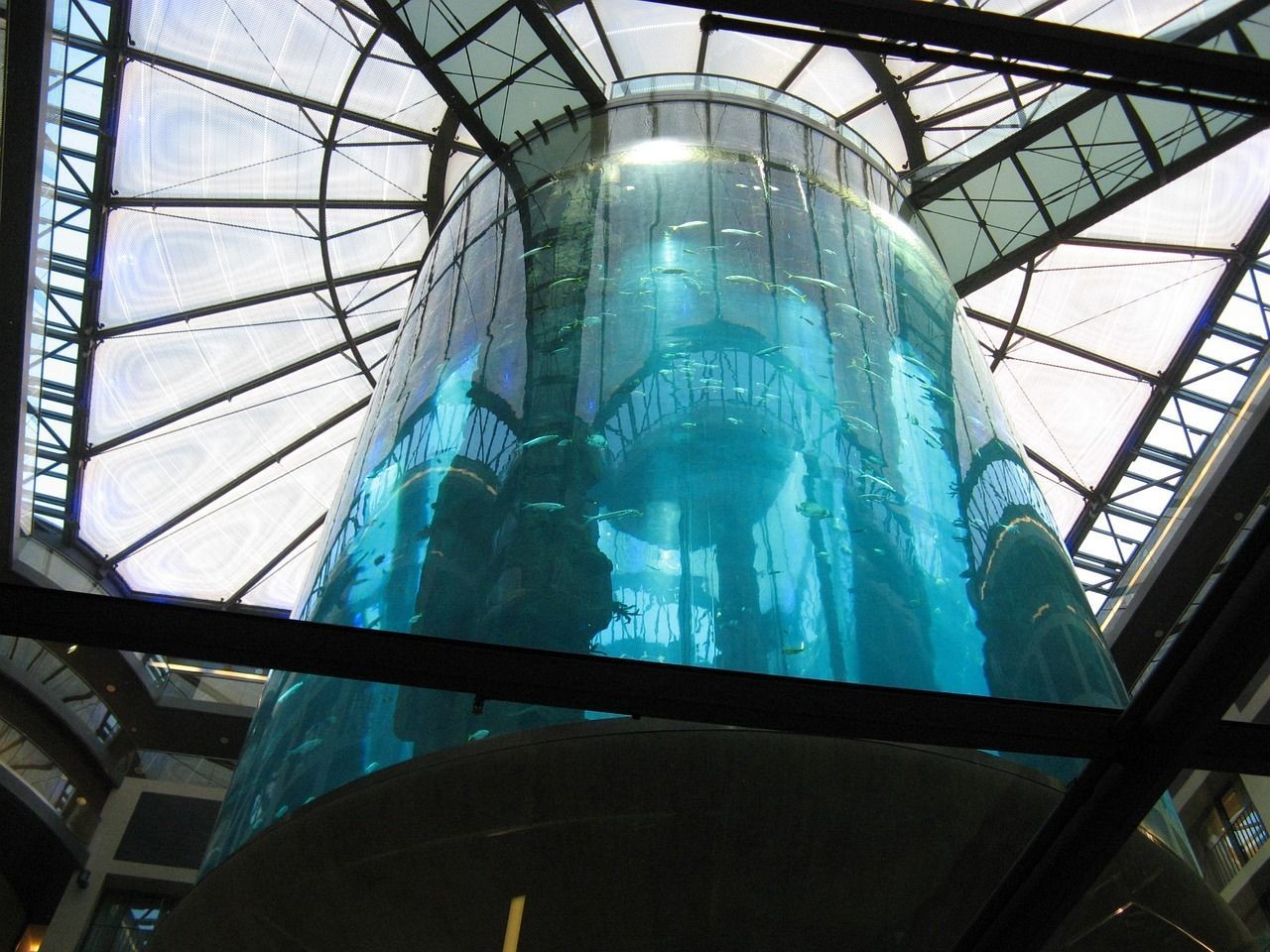 包頭哪里賣魚缸比較好的魚苗便宜（包頭哪里有賣魚的）（包頭魚缸哪里賣比較好）