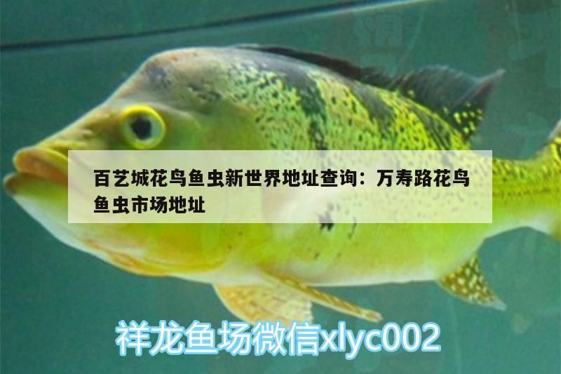 百藝城花鳥魚蟲新世界地址查詢:萬壽路花鳥魚蟲市場地址（廣州百藝城花鳥魚蟲新世界地址）