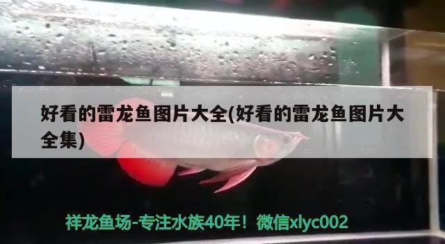 日常打卡上視頻（日常打卡上視頻反映了現代社會文化意義及其對個人和社會影響）