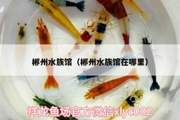 郴州水族館（郴州水族館在哪里）（郴州水族館，國家aaaa級(jí)景區(qū)）
