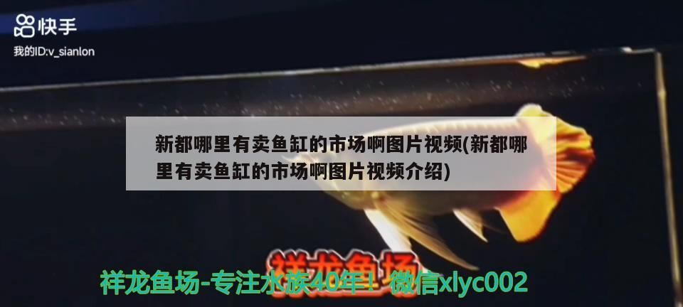 新都哪里有賣魚缸的市場(chǎng)啊圖片視頻(新都哪里有賣魚缸的市場(chǎng)啊圖片視頻介紹)（成都新都哪里有賣魚缸的市場(chǎng)）