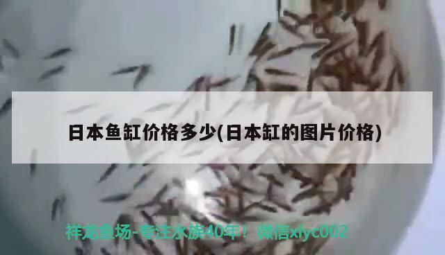 日本魚缸價格多少(日本缸的圖片價格)（日本魚缸價格多少）