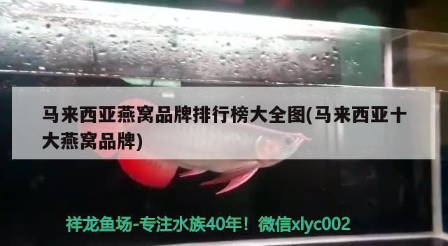 馬來西亞燕窩品牌排行榜大全圖(馬來西亞十大燕窩品牌)（馬來西亞十大燕窩品牌排行榜大全）