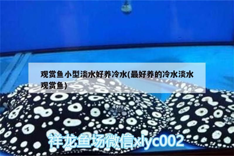 觀賞魚小型淡水好養(yǎng)冷水(最好養(yǎng)的冷水淡水觀賞魚)（觀賞魚小型淡水好養(yǎng)冷水）