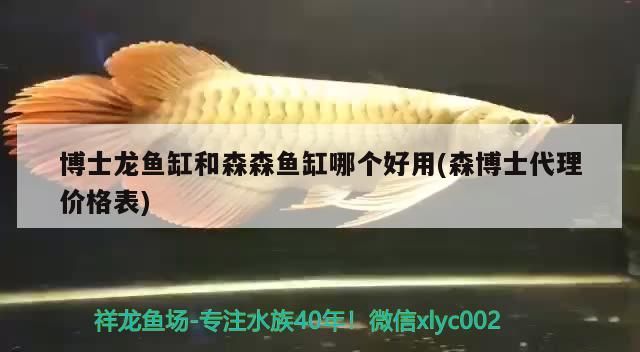 博士龍魚缸和森森魚缸哪個好用(森博士代理價格表)（博士龍魚缸和森森魚缸哪個好用）