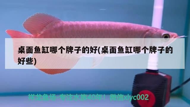 桌面魚缸哪個牌子的好(桌面魚缸哪個牌子的好些)（桌面魚缸哪個牌子的好）