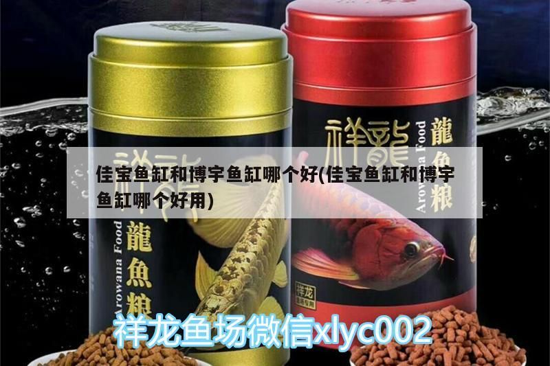 佳寶魚缸和博宇魚缸哪個好(佳寶魚缸和博宇魚缸哪個好用)（佳寶魚缸和博宇魚缸哪個好）