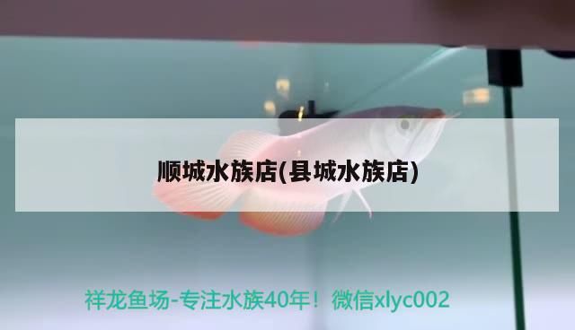 順城水族店(縣城水族店)
