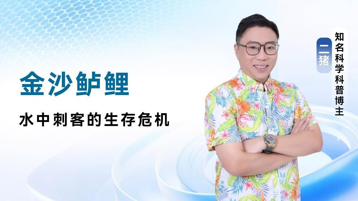 <strong><mark>攀枝花</mark></strong>金沙江有什么魚