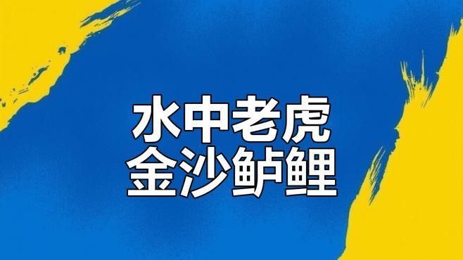 攀枝花金沙江有什么魚