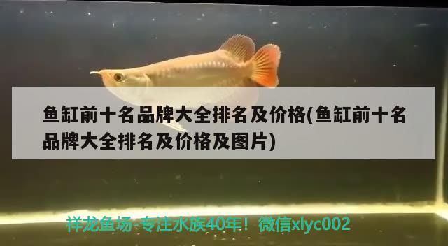 魚缸前十名品牌大全排名及價格(魚缸前十名品牌大全排名及價格及圖片)